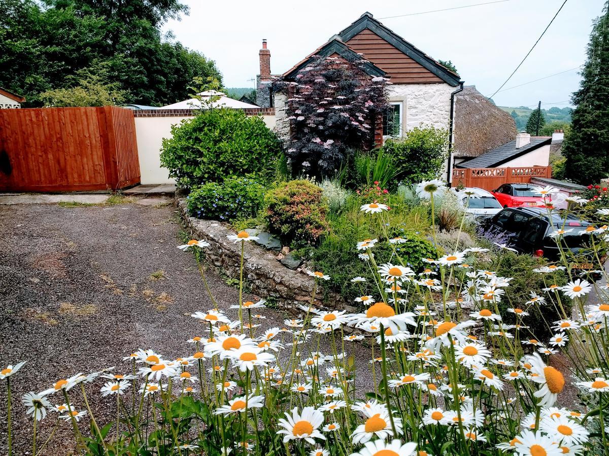 Rose Farm Honiton Exterior photo
