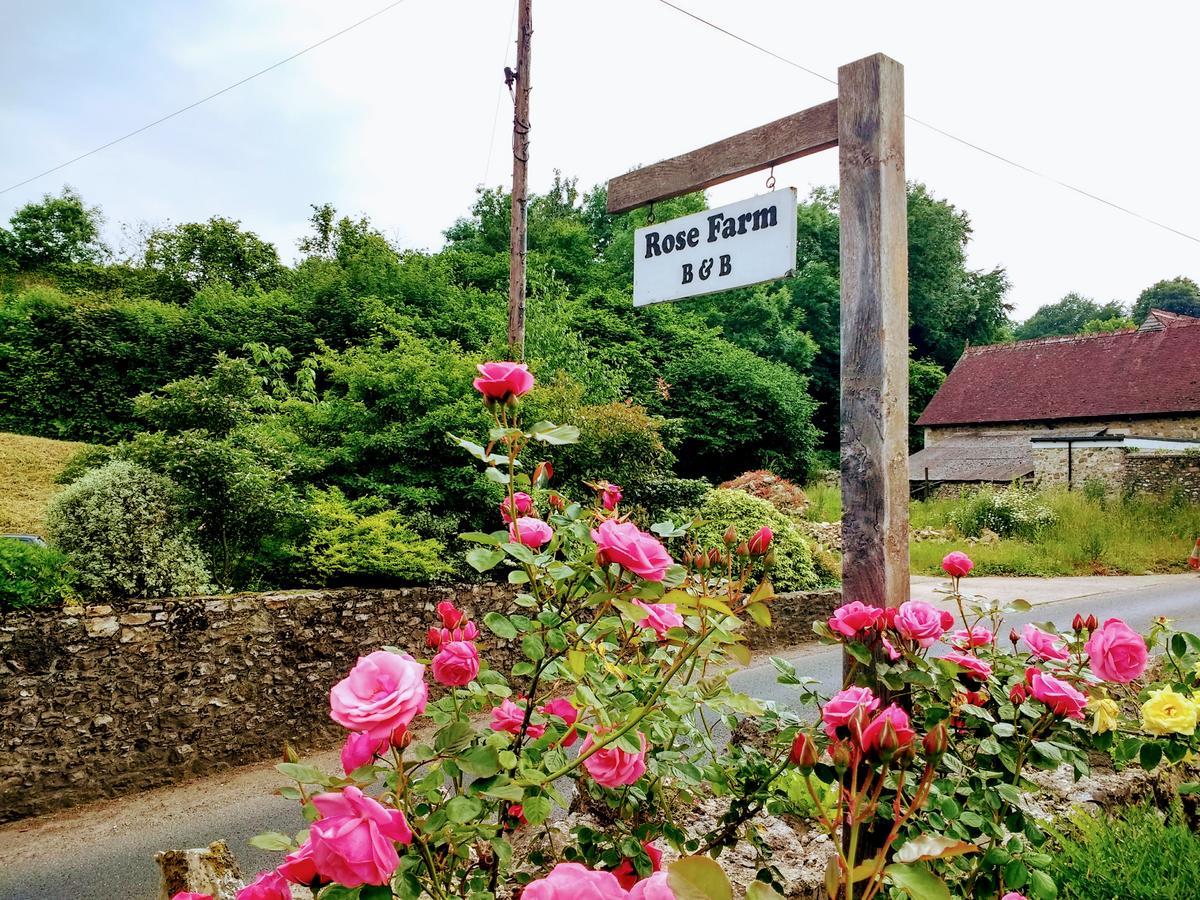 Rose Farm Honiton Exterior photo